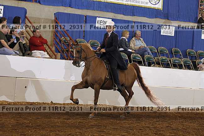 Proof 11r12_2931
