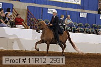 11r12_2931 proof