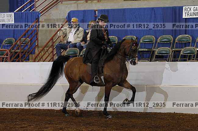 Proof 11r12_2935