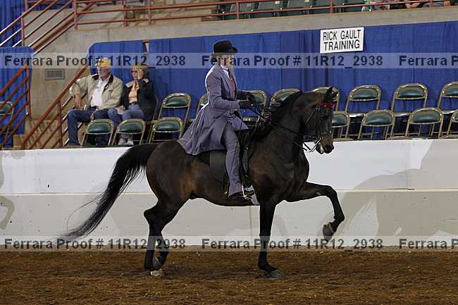 Proof 11r12_2938