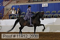 11r12_2938 proof