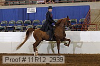 11r12_2939 proof