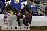 11r12_2942 proof