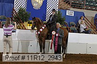 11r12_2943 proof
