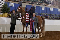 11r12_2949 proof