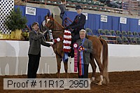 11r12_2950 proof