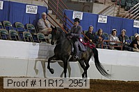 11r12_2951 proof