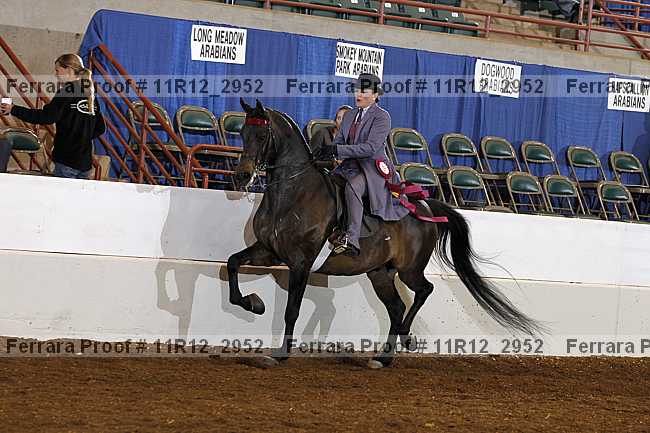 Proof 11r12_2952