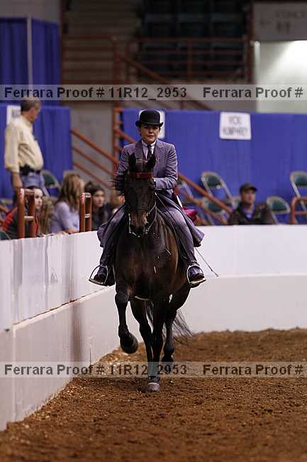 Proof 11r12_2953