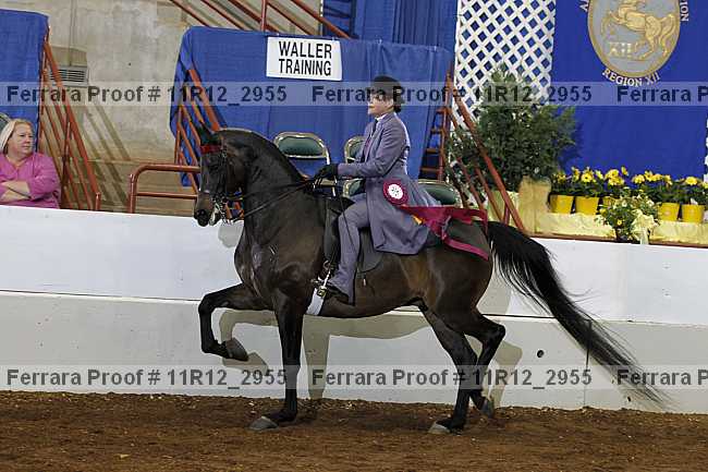 Proof 11r12_2955