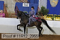 11r12_2955 proof