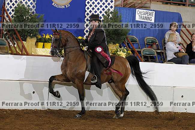 Proof 11r12_2959