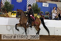 11r12_2959 proof