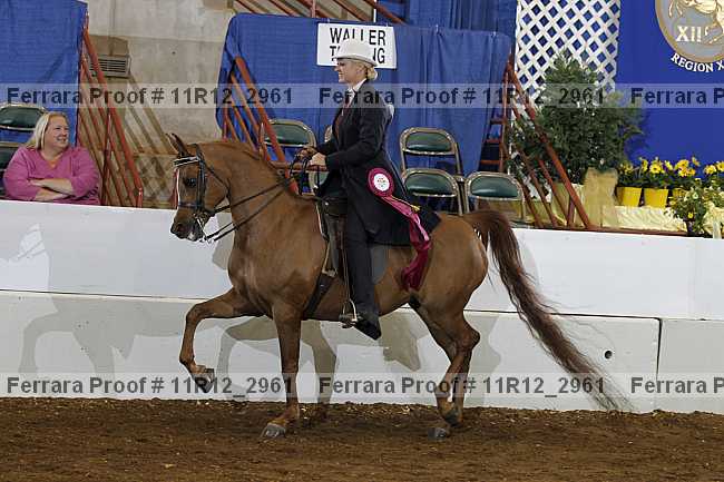 Proof 11r12_2961