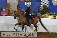 11r12_2961 proof