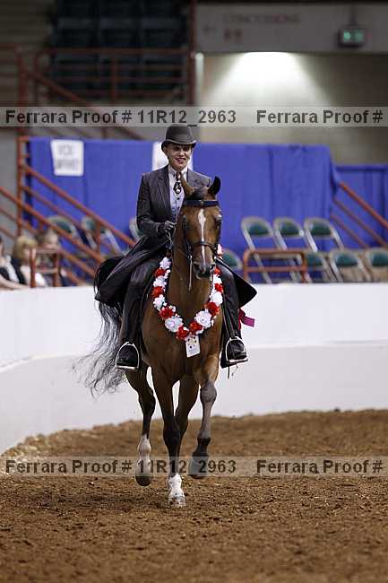 Proof 11r12_2963