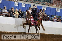 11r12_2967 proof
