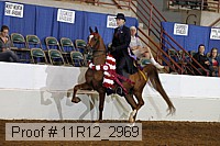 11r12_2969 proof