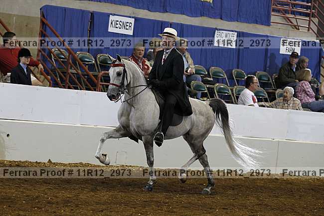 Proof 11r12_2973