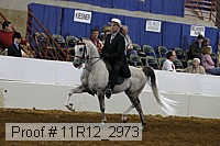 11r12_2973 proof