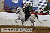 11r12_2974 proof