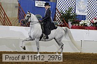 11r12_2976 proof
