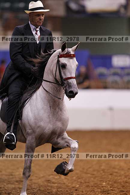 Proof 11r12_2978