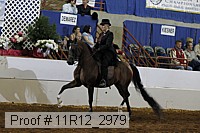 11r12_2979 proof