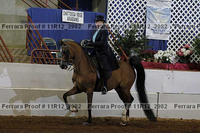 Proof 11r12_2982
