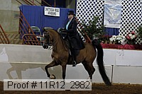 11r12_2982 proof