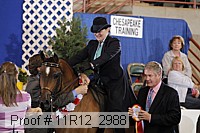 11r12_2988 proof