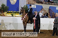 11r12_2991 proof