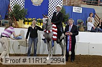 11r12_2994 proof
