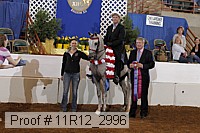 11r12_2996 proof