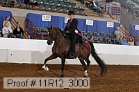 11r12_3000 proof