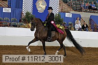 11r12_3001 proof