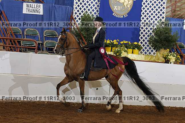 Proof 11r12_3003