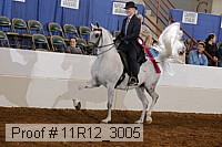 11r12_3005 proof