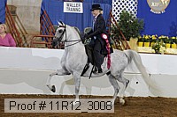 11r12_3008 proof