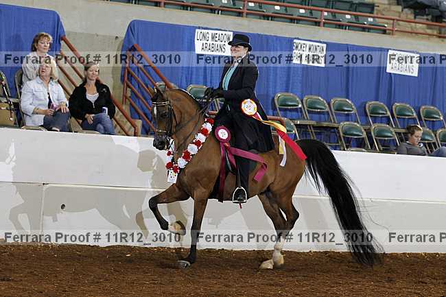 Proof 11r12_3010