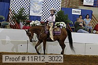 11r12_3022 proof