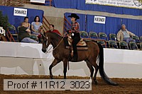 11r12_3023 proof