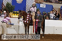 11r12_3025 proof