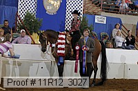 11r12_3027 proof