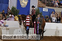 11r12_3028 proof