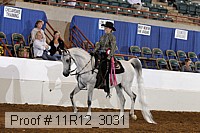 11r12_3031 proof