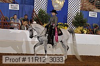 11r12_3033 proof