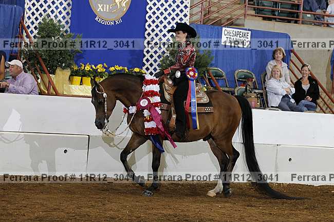 Proof 11r12_3041