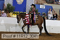 11r12_3041 proof