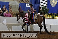 11r12_3043 proof